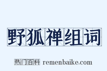 野狐禅组词是什么意思的图片